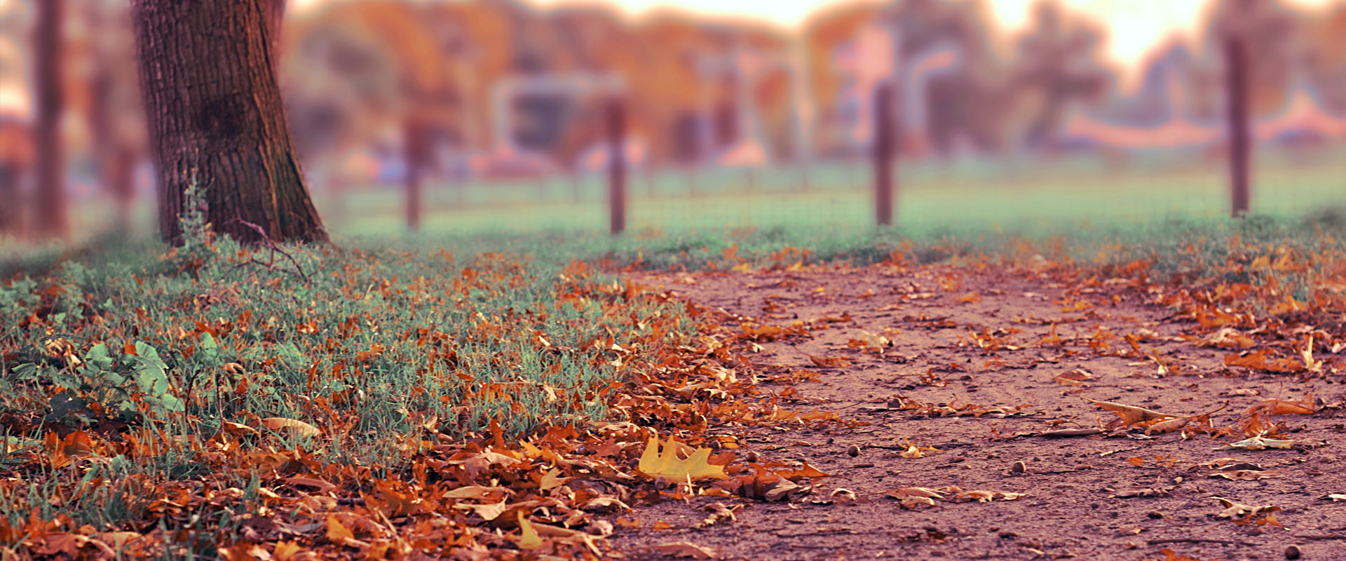 引领变革风向的网站ddos隐藏源ip