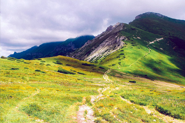 CC在线压力测试